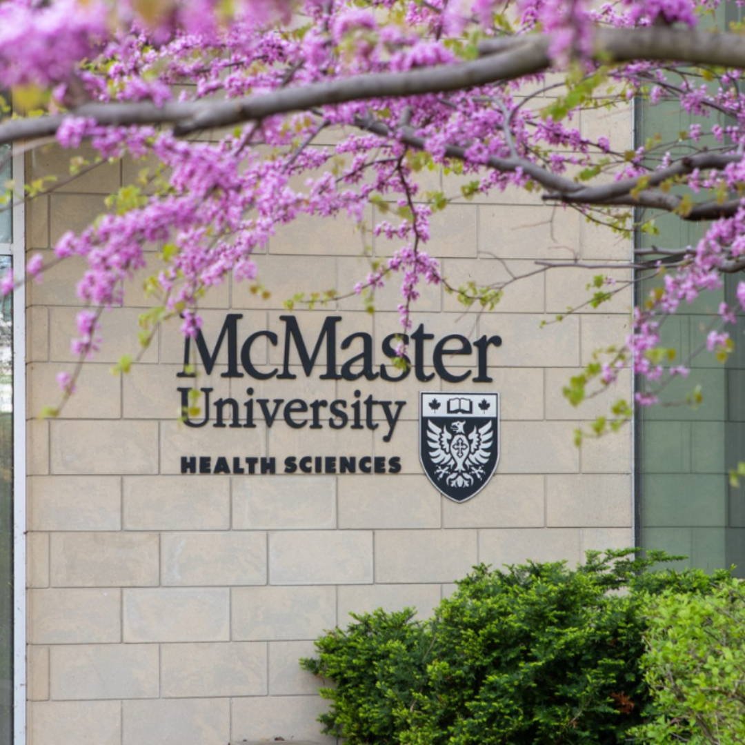 The McMaster University Health Sciences, a brick office building.